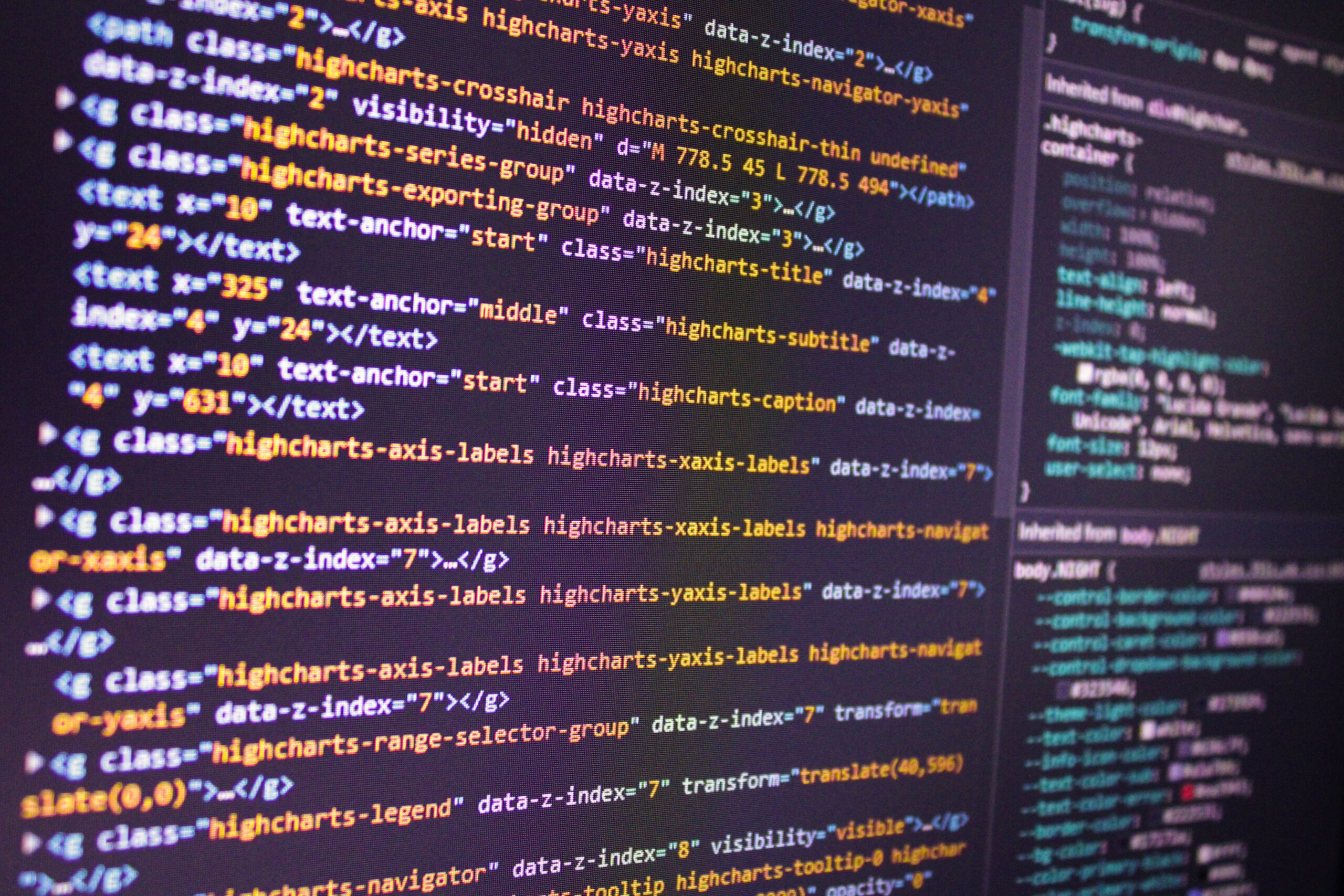 Sviluppo software personalizzato